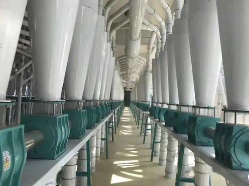 河套面粉蒙廚、蒙雪花、巴蒙久星系列全國(guó)招商暨軟件開發(fā)合作伙伴招募