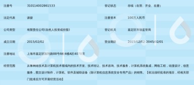 上海游英網(wǎng)絡(luò)科技有限公司 立足上海，深耕數(shù)字技術(shù)服務(wù)